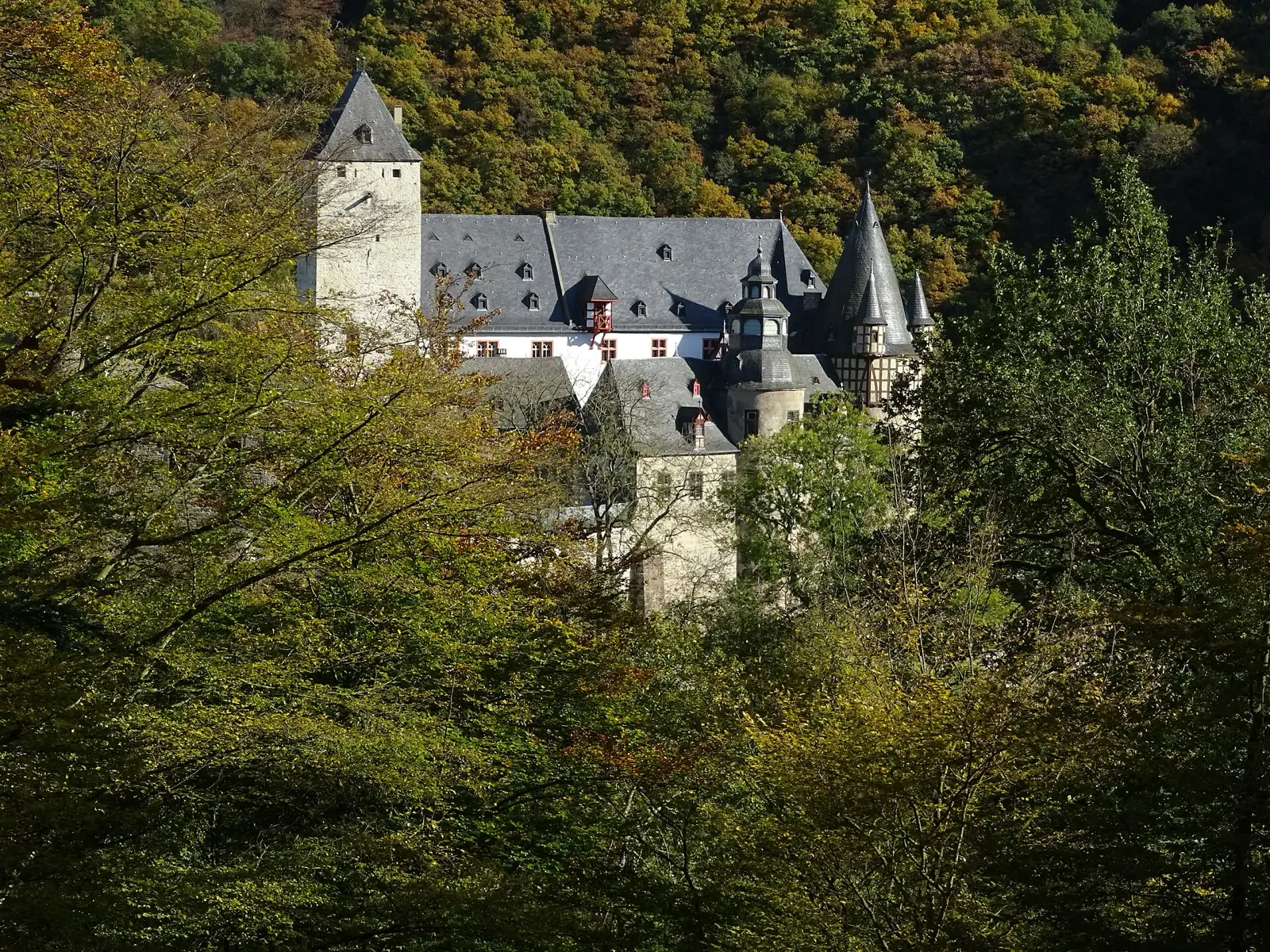 Blick vom Traumpfad Förstersteig auf Schloss Bürresheim